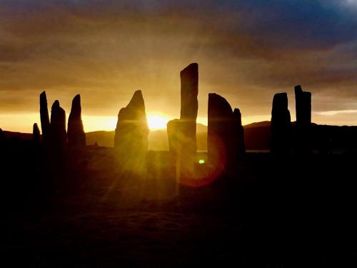 an image of the sun setting behind the cacti at Jardine Apartment @ Cairn Dhu House in Stornoway