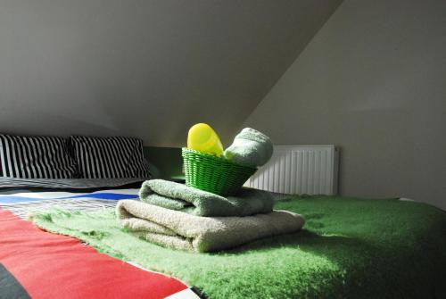 Postel nebo postele na pokoji v ubytování B&B Het Schaliënhof