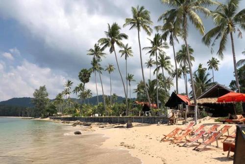a beach with chairs and palm trees and the ocean at Nautilus Right on the Beach - Adult Only - SHA Extra Plus in Ko Lanta