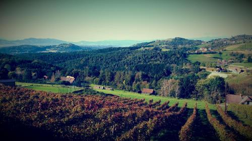 a view of a hill with a farm in a field at Weingut Reiterer in Kitzeck im Sausal