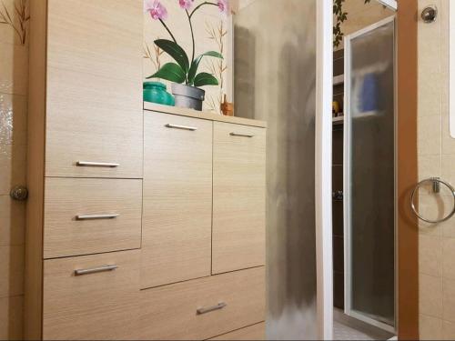 a cabinet with two plants on it in a bathroom at Villa del Golfo Urio with swimming pool shared by the two apartments it is essential to have a car in Santa Flavia