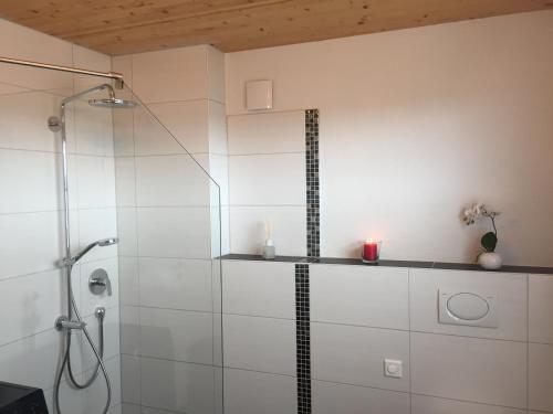 uma casa de banho com um chuveiro e uma cabina de duche em vidro. em Ferienwohnung Haag em Uhldingen-Mühlhofen