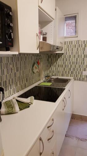 a kitchen with a sink and a counter top at La Perla del Doge con Wellness & Spa uso esclusivo - La Perla Apartments in Venice