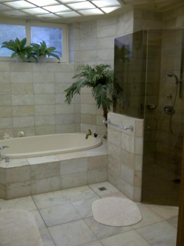 a bathroom with a tub and a shower with a plant at Luxuriöses Doppelzimmer in Oberkassel in Düsseldorf