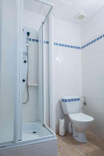 a white bathroom with a shower and a toilet at Penzion U Michala in Prášily