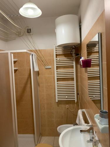 een badkamer met een wastafel en een douche bij Oasi del piacere in Pisa