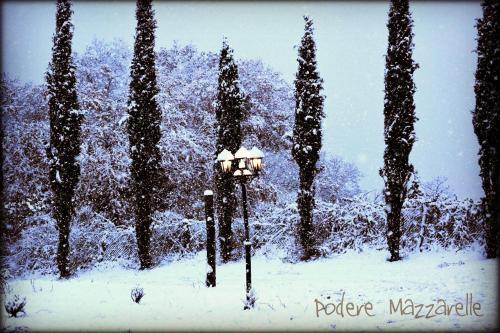 a group of trees and a street light in the snow at Podere Mazzarelle in Castel del Piano