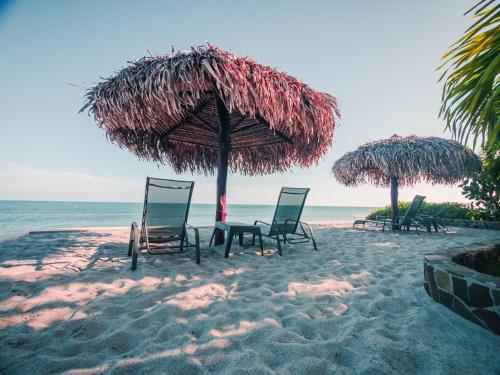 a group of chairs and umbrellas on a beach at Casa Caracol in Playa Coronado