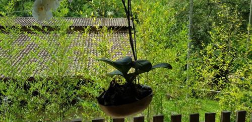a plant in a pot hanging from a fence at Pousada Vertente das Águas in Lumiar