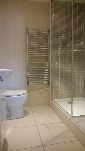a bathroom with a toilet and a shower and a sink at Harbourside Apartment in Whitehaven