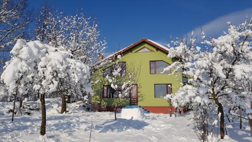 Foto dalla galleria di Casa Roatis a Şişeşti