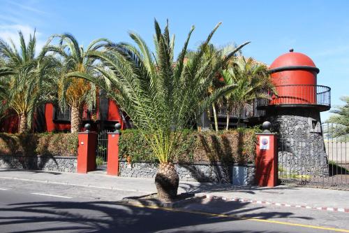 a palm tree in the middle of a street at Apartamentos Punta Marina in Valle Gran Rey