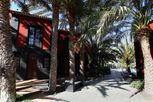 a building with palm trees in front of it at Apartamentos Punta Marina in Valle Gran Rey