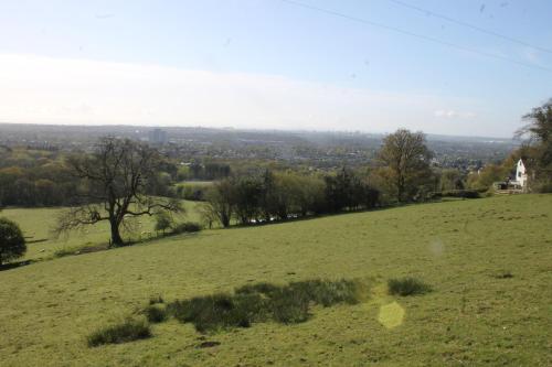 The Foretop photo 23
