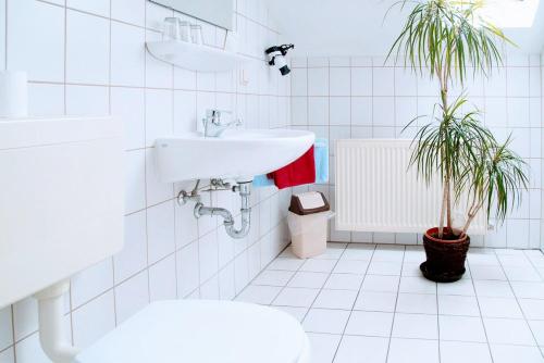 A bathroom at Landgasthof "Zur Linde"