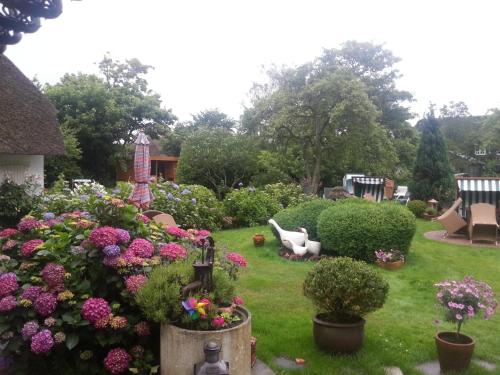 a garden with flowers and a dog in the yard at Boutiquehotel Seiler Hof Keitum in Keitum