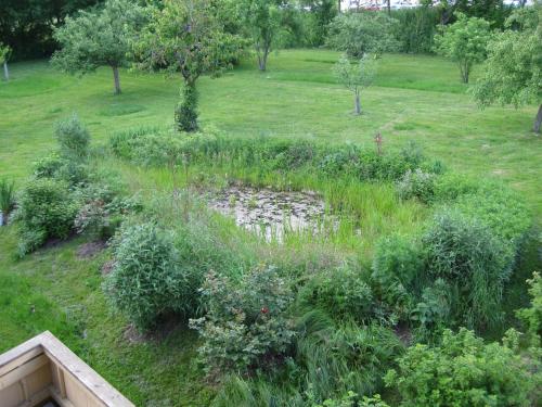 a garden with a pond in the middle of a field at Appartementhaus Moos in Lam