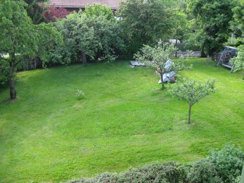 an aerial view of a yard with trees and grass at Appartementhaus Moos in Lam