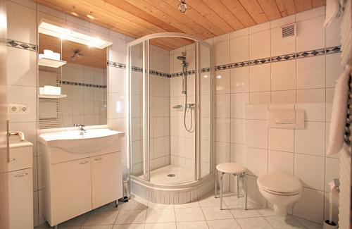 a bathroom with a shower and a toilet and a sink at Bergkristall in Brand