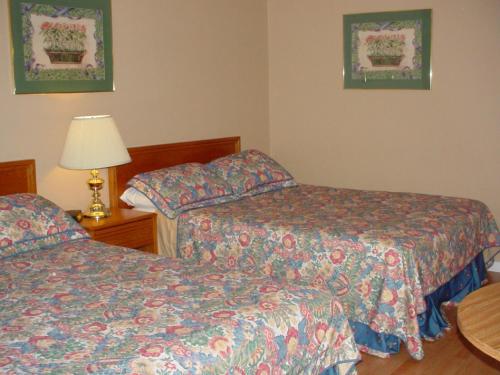 a hotel room with two beds and a lamp at Blue Moon Motel in Niagara Falls