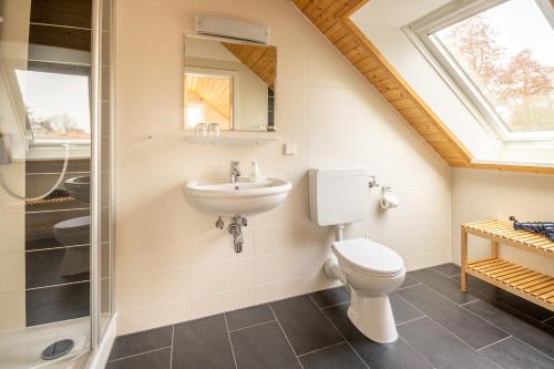 a bathroom with a toilet and a sink and a shower at Haus Biederstaedt in Ottersberg