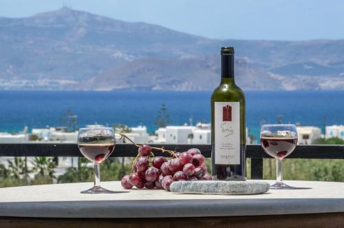 a bottle of wine and a bunch of grapes on a table at Orama Apartments in Agia Anna Naxos
