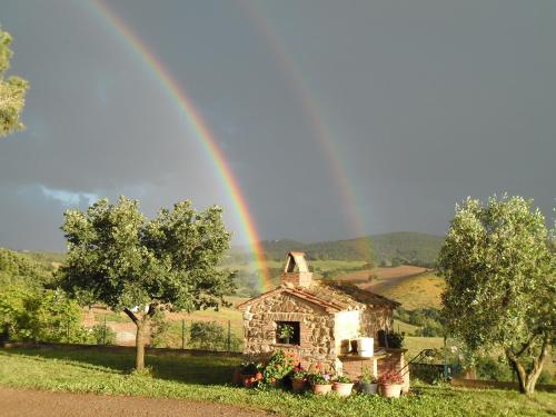 Fotografie z fotogalerie ubytování Poggio Petrella v destinaci Manciano