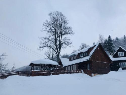 Viktória- neakceptujeme mladé partie semasa musim sejuk