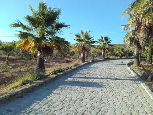 a cobblestone road with palm trees on either side at La Bastide de l'Oliveraie in Le Castellet
