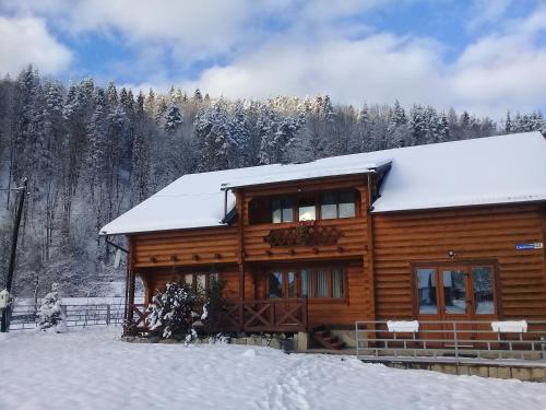 a log cabin in the snow with snow covered trees at Lucy in Yaremche