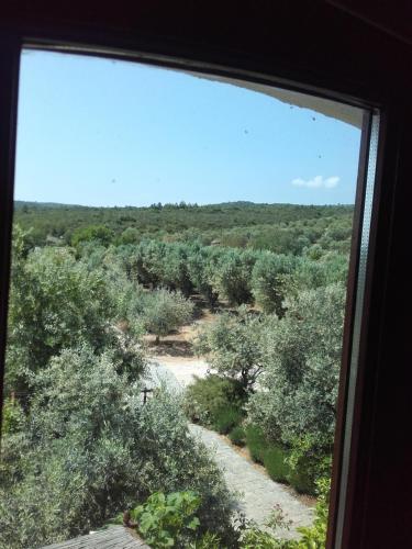 a view from a window of a field of trees at La Bastide de l'Oliveraie in Le Castellet