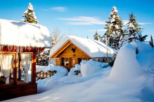 a log cabin covered in snow in front of trees at Kedra Village in Kédra