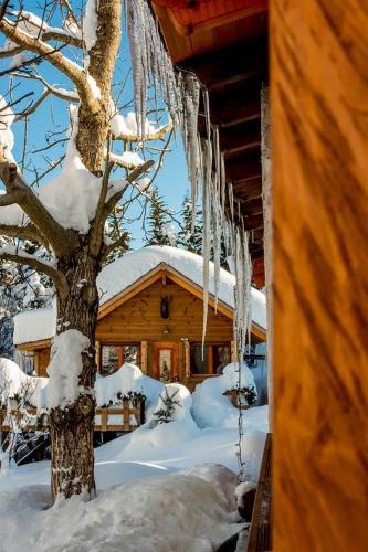 a log cabin in the snow with a tree at Kedra Village in Kédra