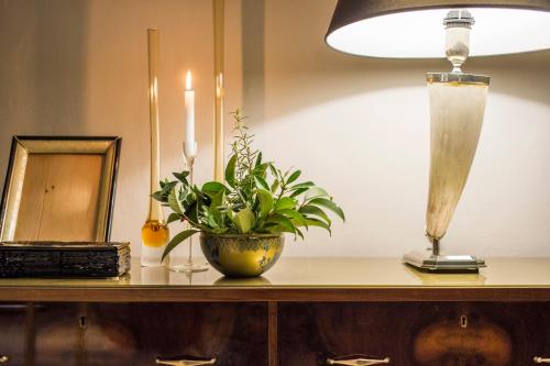 a plant in a vase on a table with a lamp at Palazzo del Papa in Siena