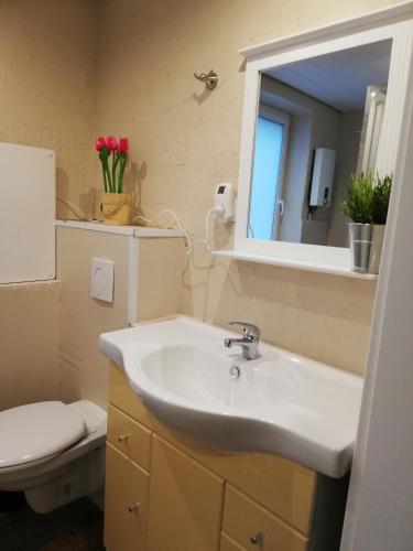 a bathroom with a sink and a toilet and a mirror at Westerwald Apartments in Straßenhaus