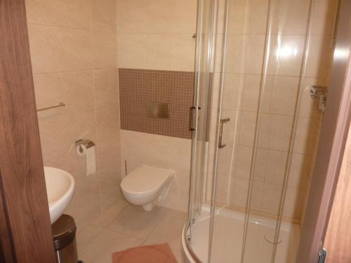 a bathroom with a shower and a toilet and a sink at Centrum Promocji Leśnictwa w Mucznem in Lutowiska