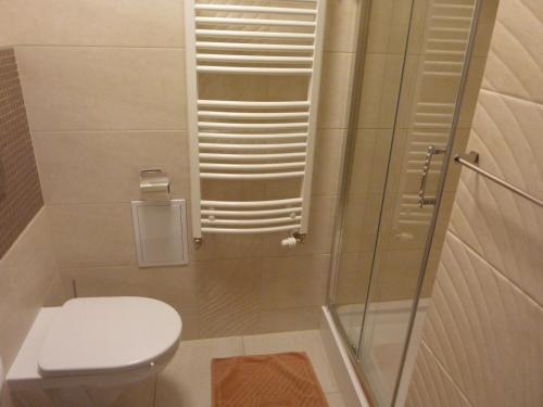 a small bathroom with a toilet and a shower at Centrum Promocji Leśnictwa w Mucznem in Lutowiska