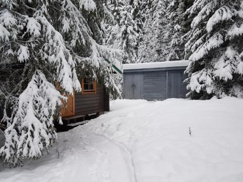 Gallery image of Liten timmerstuga i Sälen in Sälen