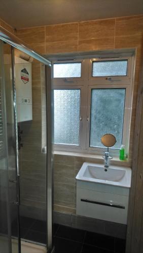 Harrow Wealt的住宿－Christchurch Guesthouse Apartments，一间带水槽和淋浴的小浴室