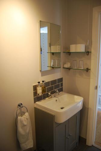 a bathroom with a sink and a mirror at Hare & Hounds Bed & Breakfast in Rye