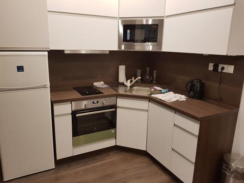 Apartmán pod Štítomにあるキッチンまたは簡易キッチン