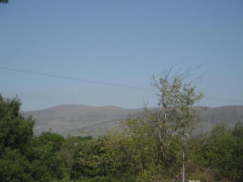 Gallery image of Castlemaine House B&B in Castlemaine