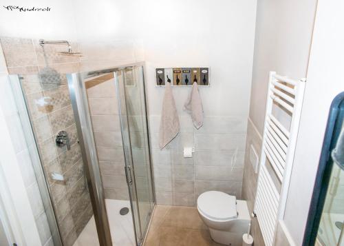 a bathroom with a shower and a toilet at Bologna House Due Torri Apartment in Bologna