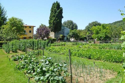 a vegetable garden with a house in the background at Fattoria I Tribbi in Ambra