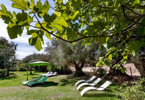 a group of lounge chairs and an umbrella in a park at Monte do Serrado De Baixo in Évora