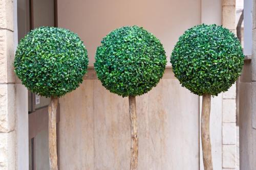 three round hedges in front of a building at Jerusalem Inn by Smart Hotels in Jerusalem