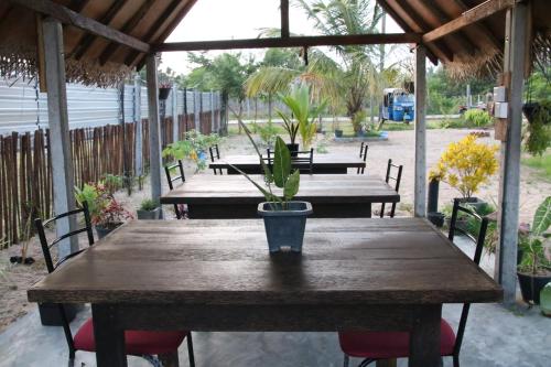 a wooden table with a potted plant on it at Aiden Homestay in Pasikuda
