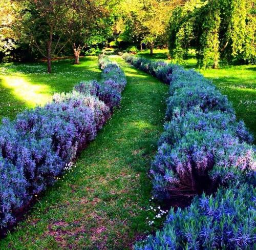 Ein Garten an der Unterkunft B&B La Rupe