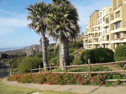 two palm trees and flowers in front of a building at B&B Santo Domingo Chile ENGLISH SPOKEN Gran Departamento compartido frente al mar PARQUE TRICAO bird sanctuary 14kms 9miles away DESAYUNO ESTACIONAMIENTO Y WIFI GRATIS Free parking wifi and breakfast in Santo Domingo