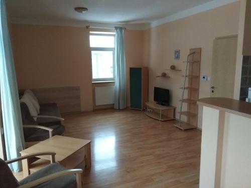 a living room with a couch and a television at Apartmány Areál Ados in Harrachov